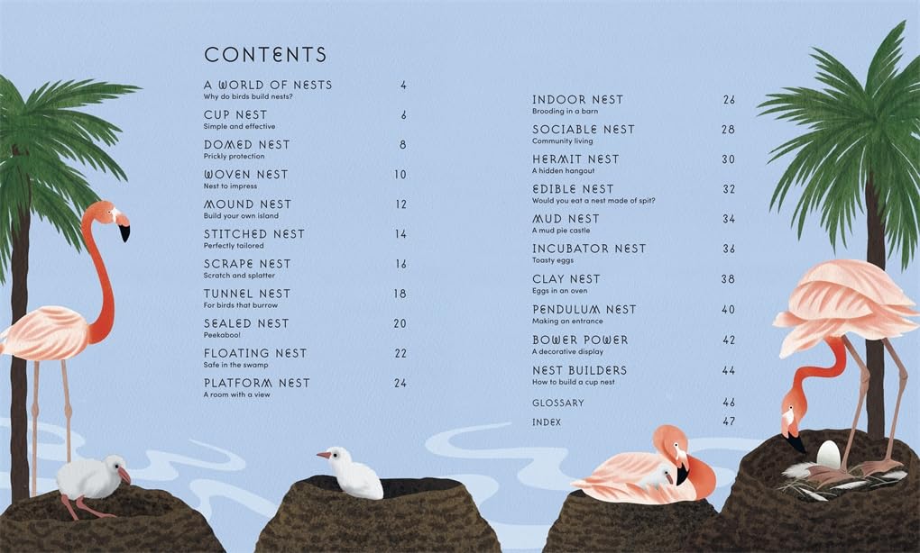 The Secret World Of Bird Nests