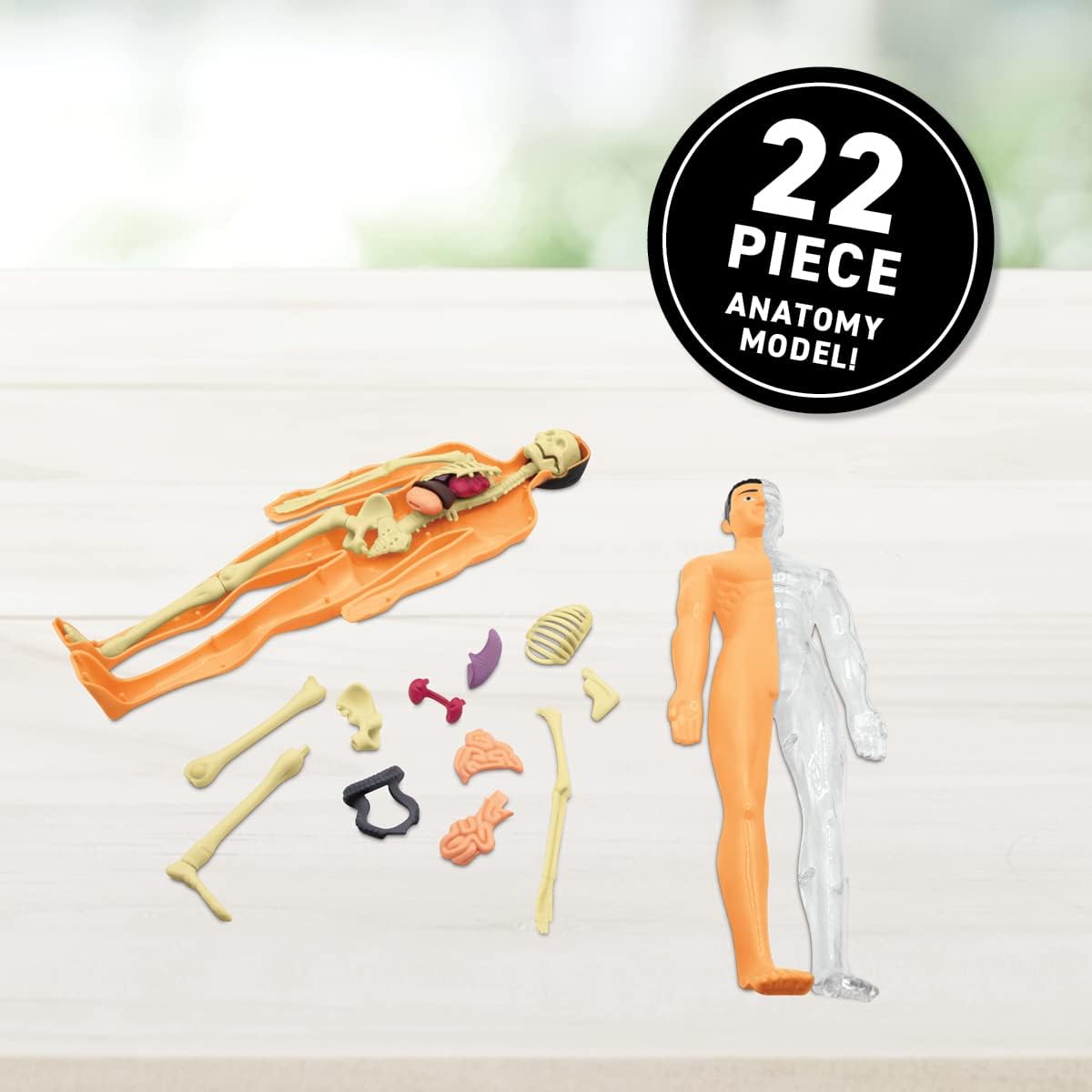 Abacus Brands Virtual Reality Box Set: Human Body