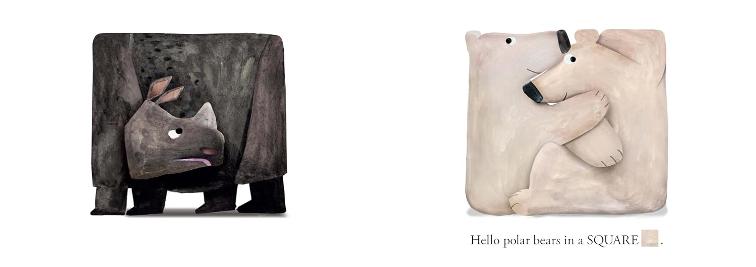 Hello Hello Shapes (Board Book)
