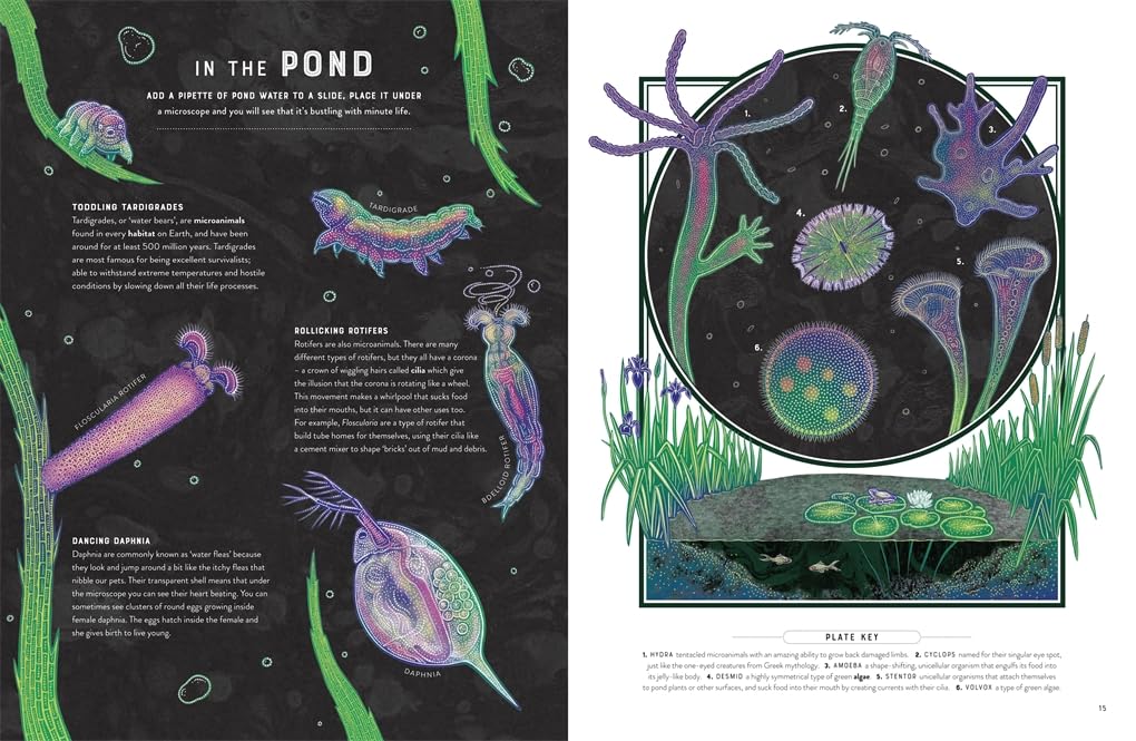 Micro The Wild: Wonders Of Microscopic Life