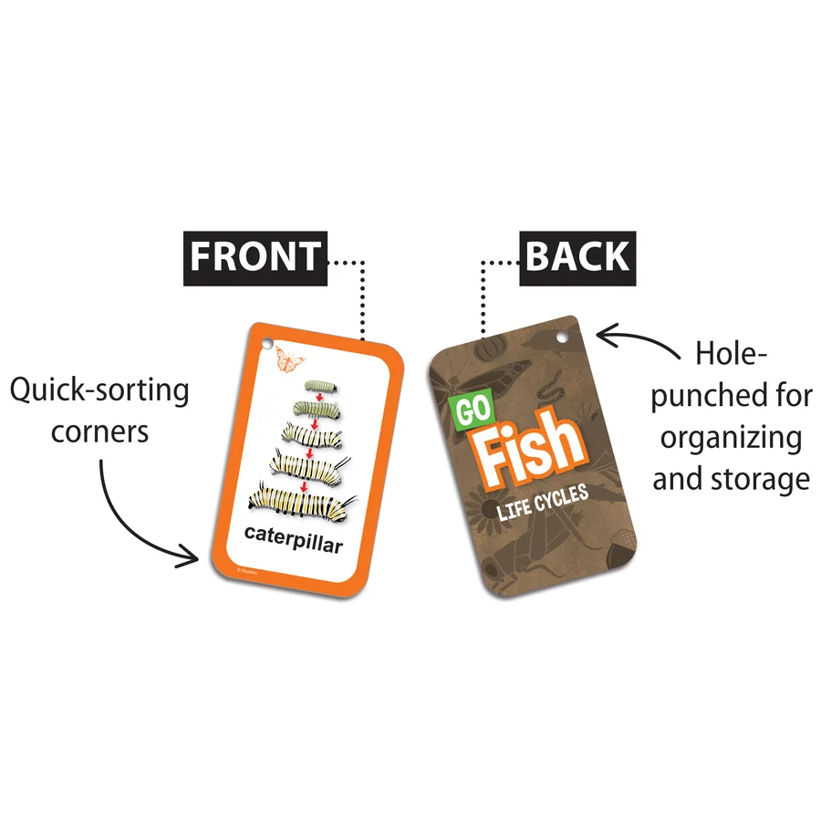 Teacher Created Resources Go Fish Life Cycles Flash Cards