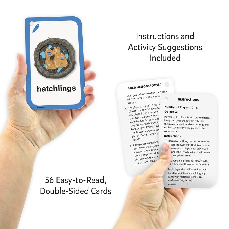 Teacher Created Resources Go Fish Life Cycles Flash Cards