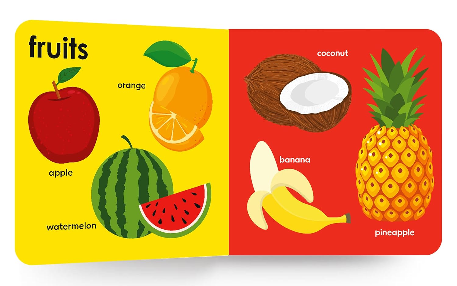 My First Big Book Of Fruits & Veggies