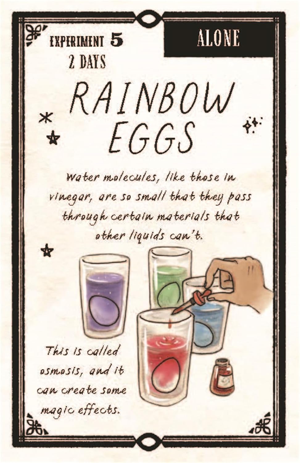 The Wizards Box Of Science Experiments