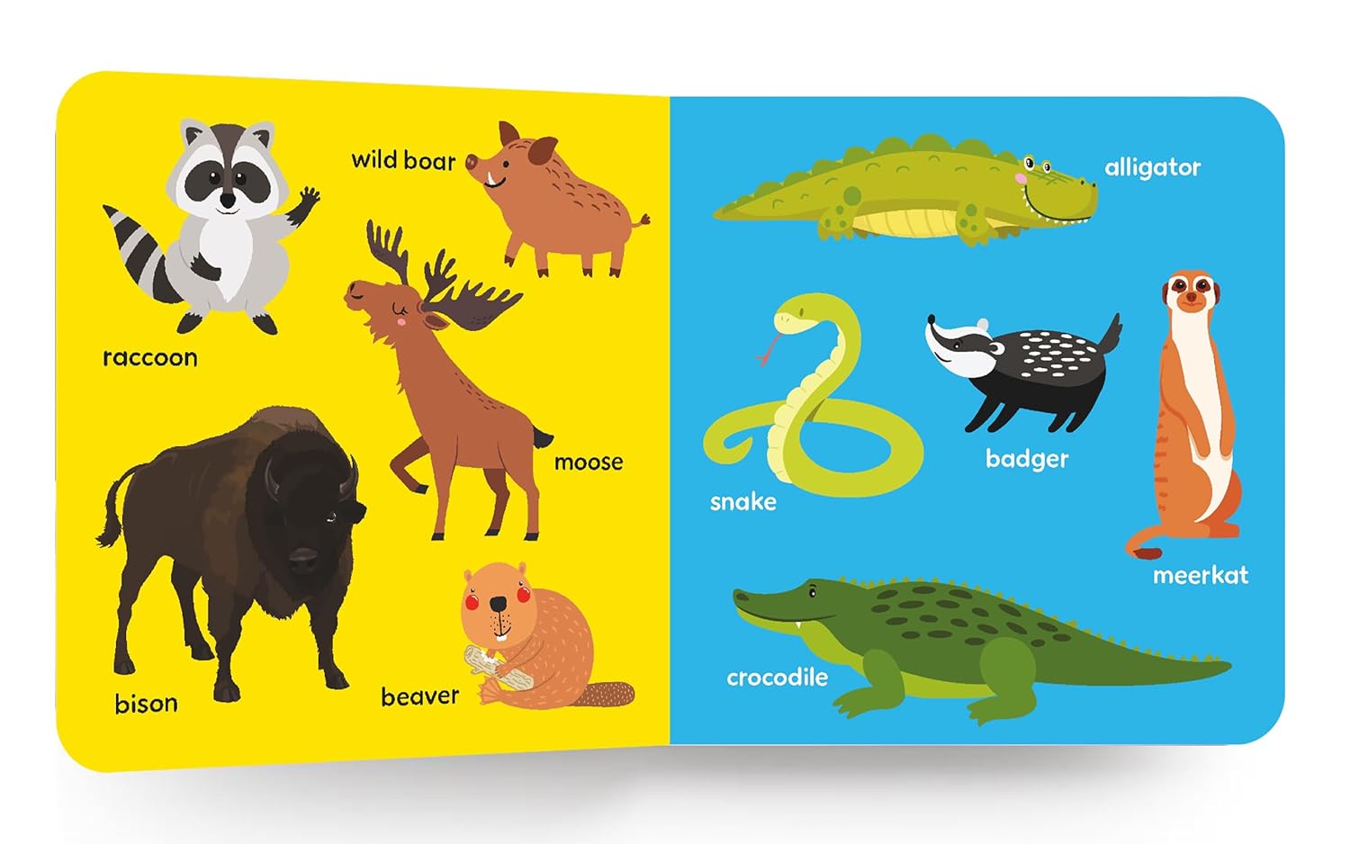 My First Big Book Of Animals