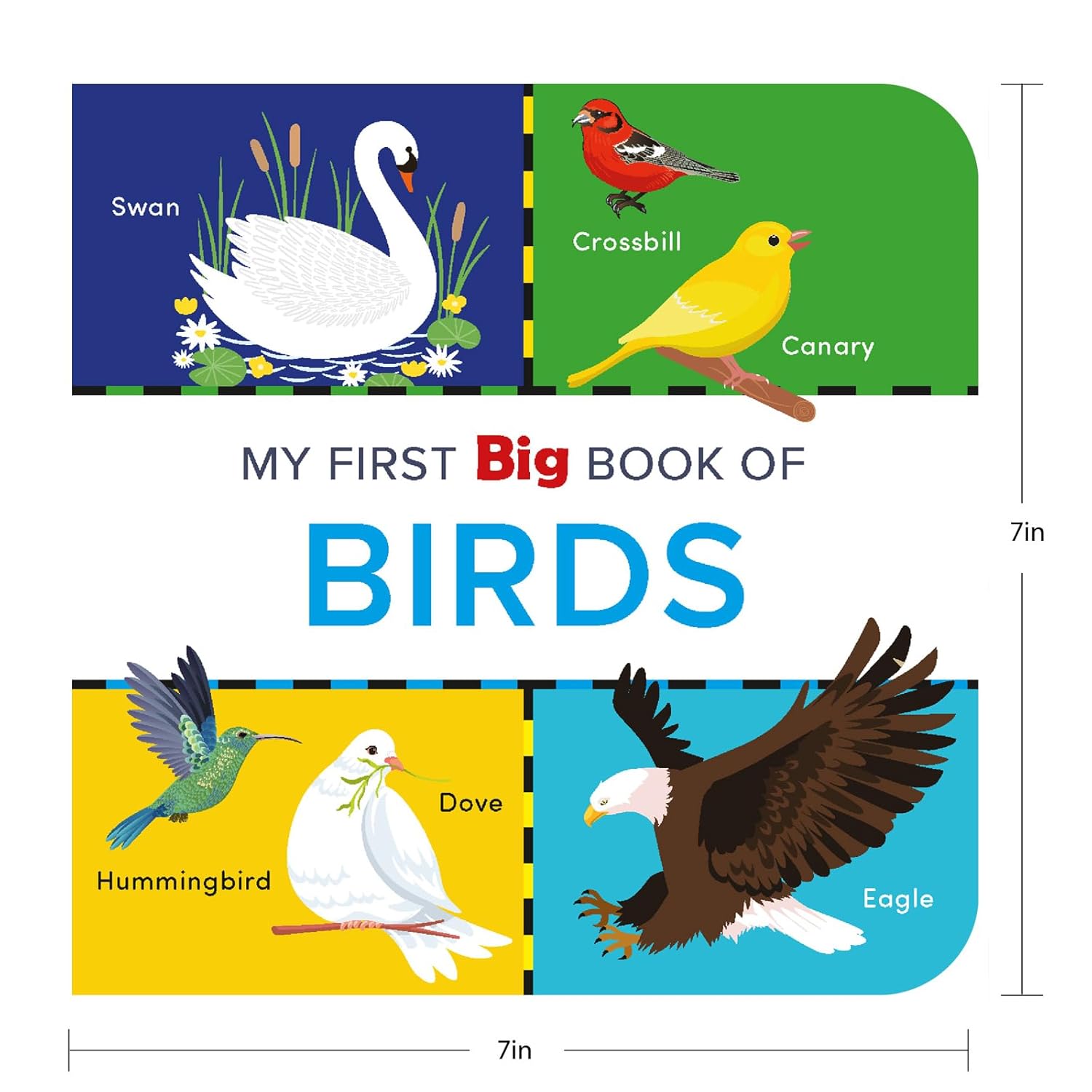 My First Big Book Of Birds