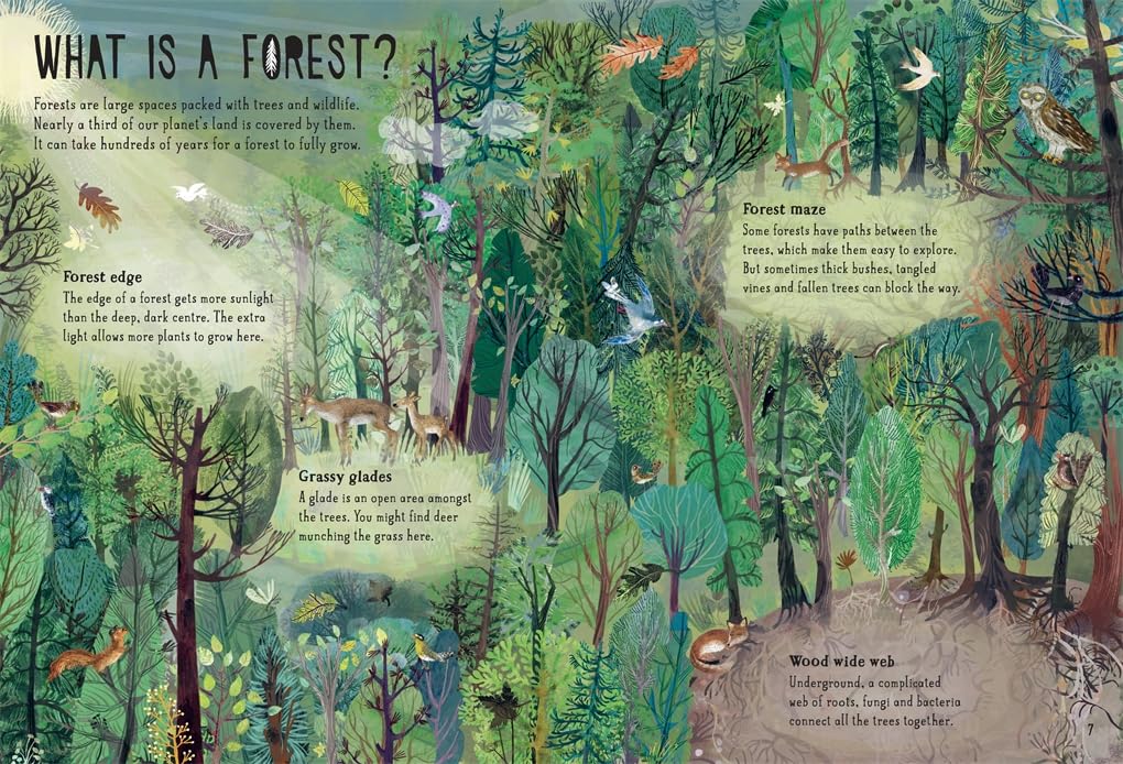 Our Forests by Yuval Zommer