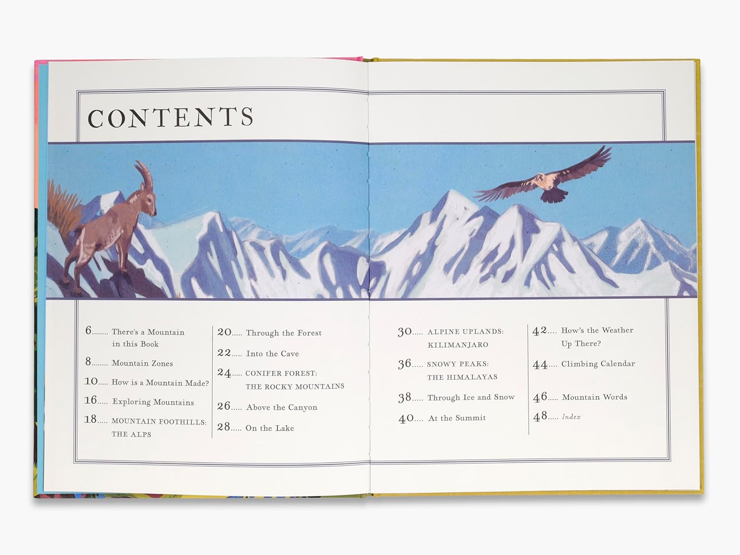 There's A Mountain In This Book