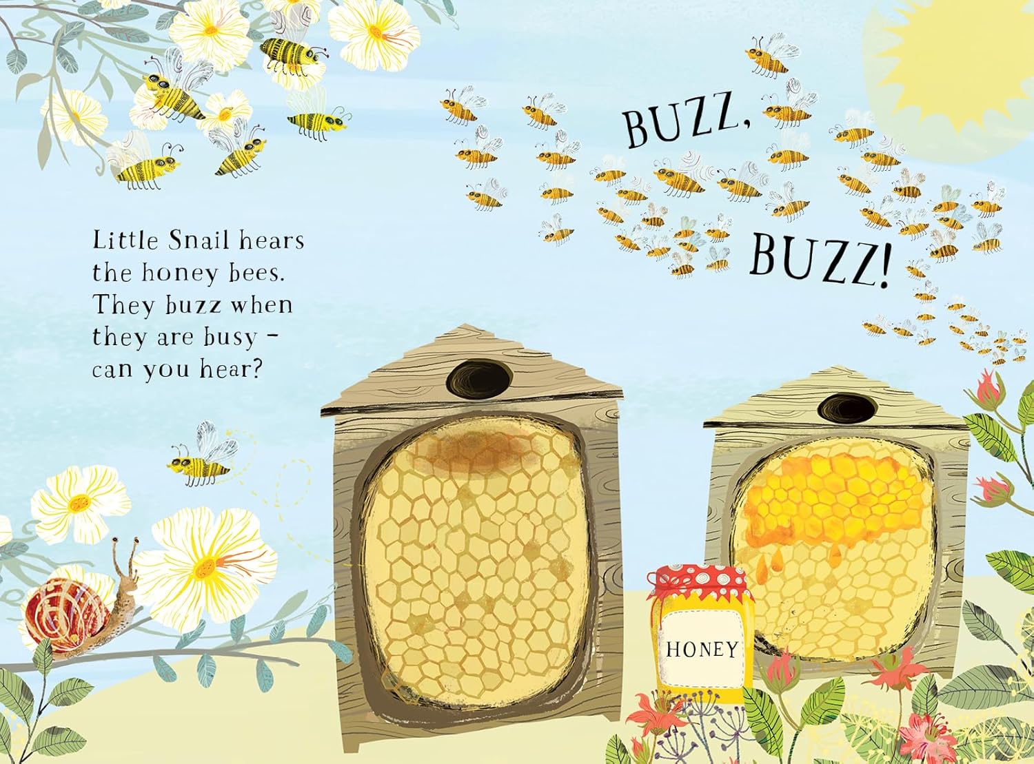 Little Snails Book of Bugs by Yuval Zommer