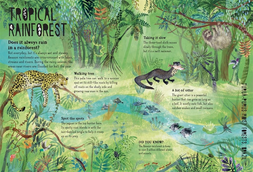 Our Forests by Yuval Zommer