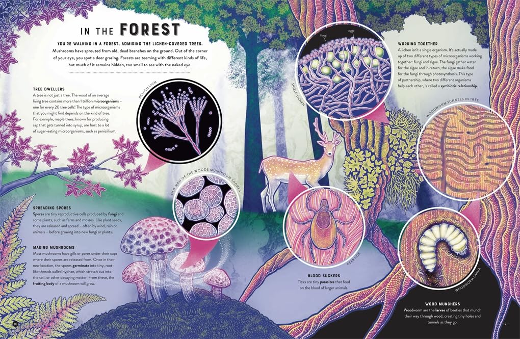 Micro The Wild: Wonders Of Microscopic Life