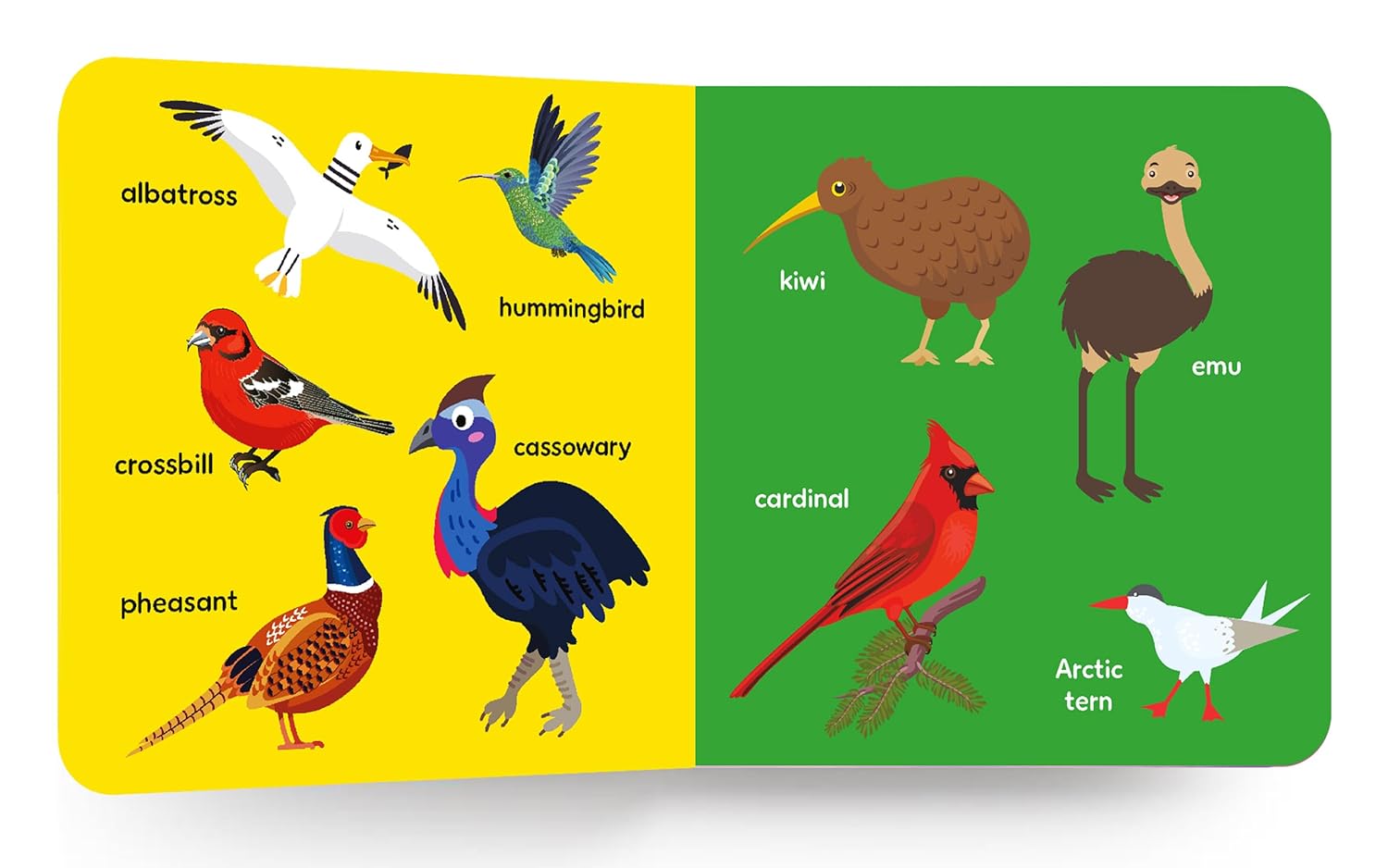 My First Big Book Of Birds