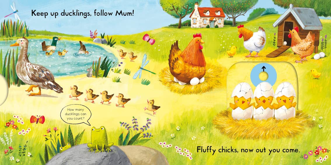 Busy Baby Animals