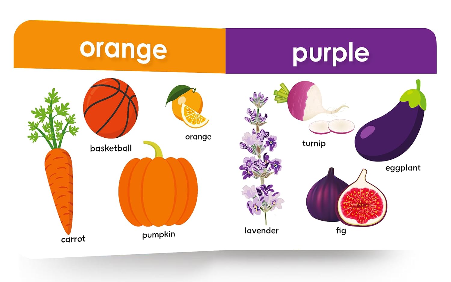 My First Big Book Of Colours