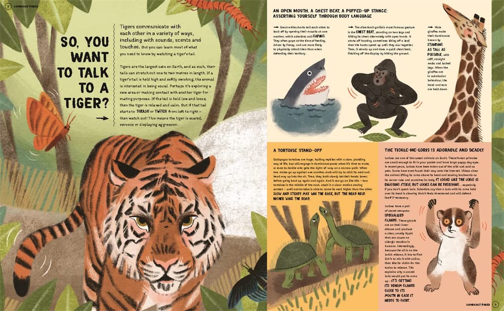 How To Talk To A Tiger… And Other Animals
