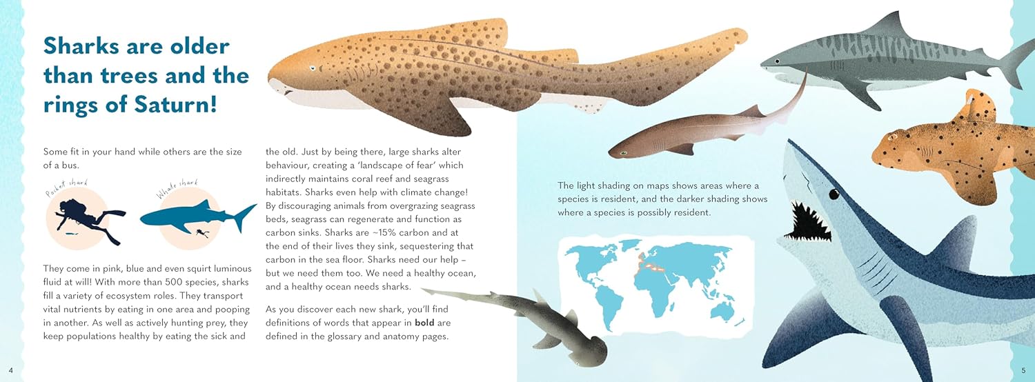 Wonders Of The Wild: Sharks