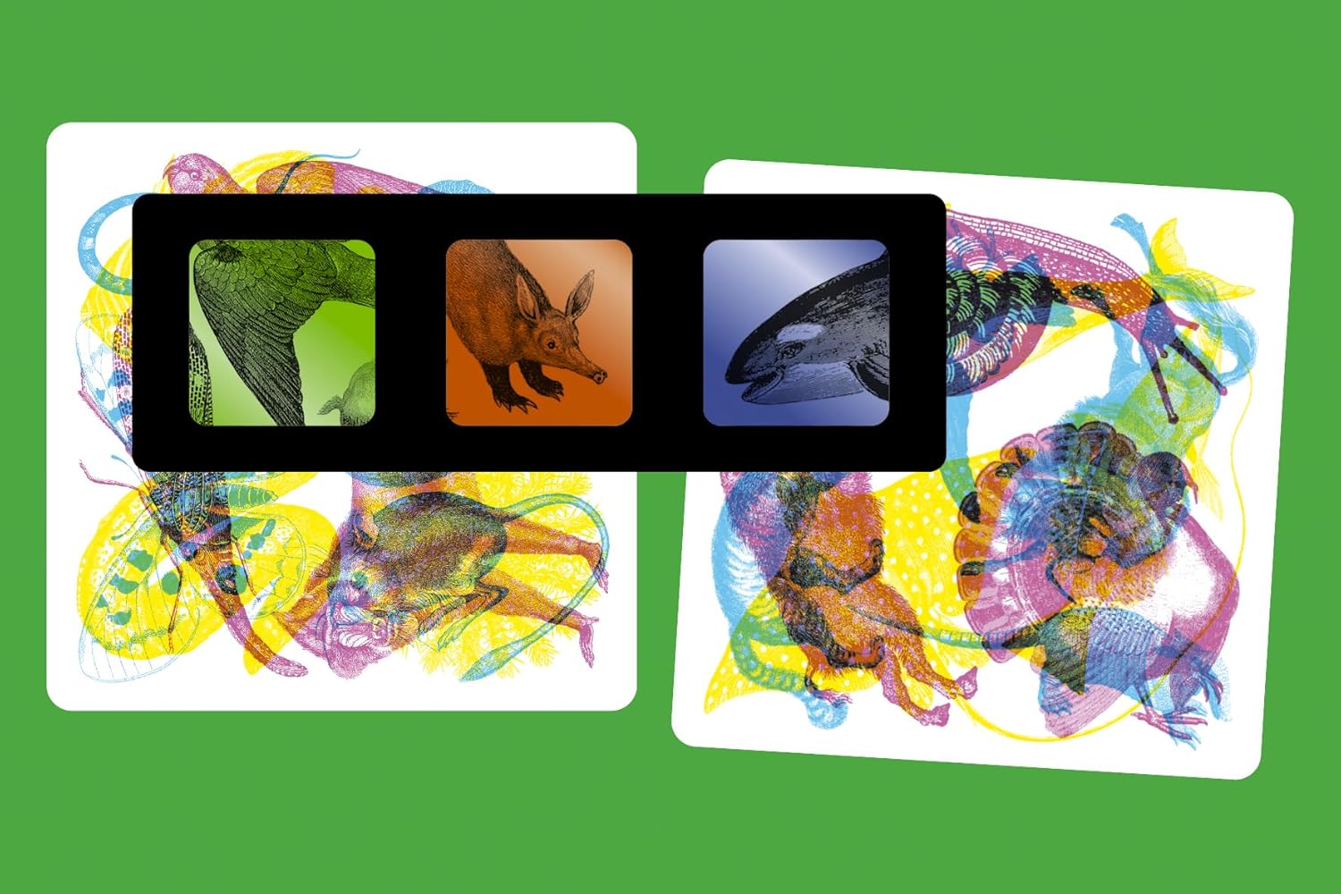 Illuminature: The Animal Spotting Game