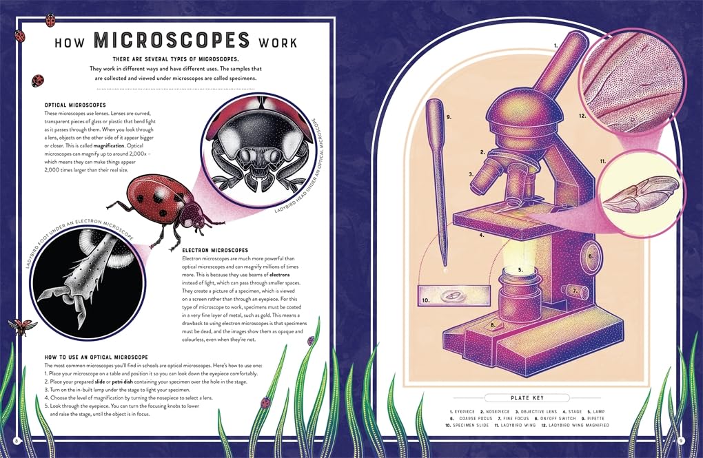 Micro The Wild: Wonders Of Microscopic Life