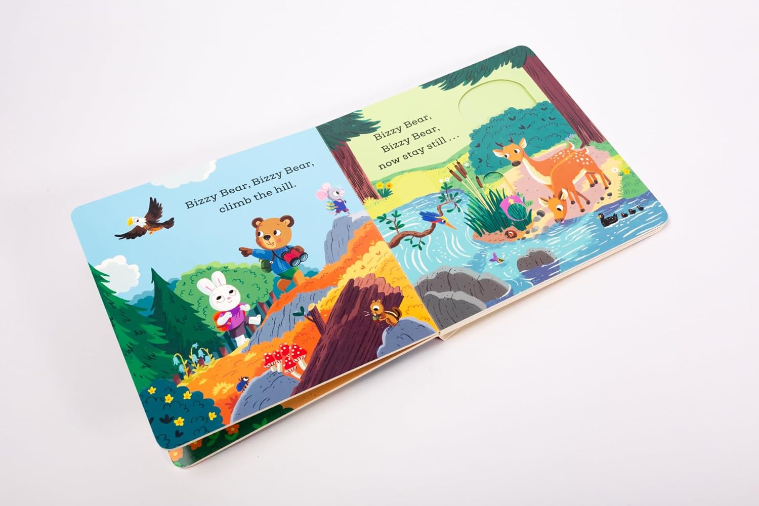 Bizzy Bear Camping Trip