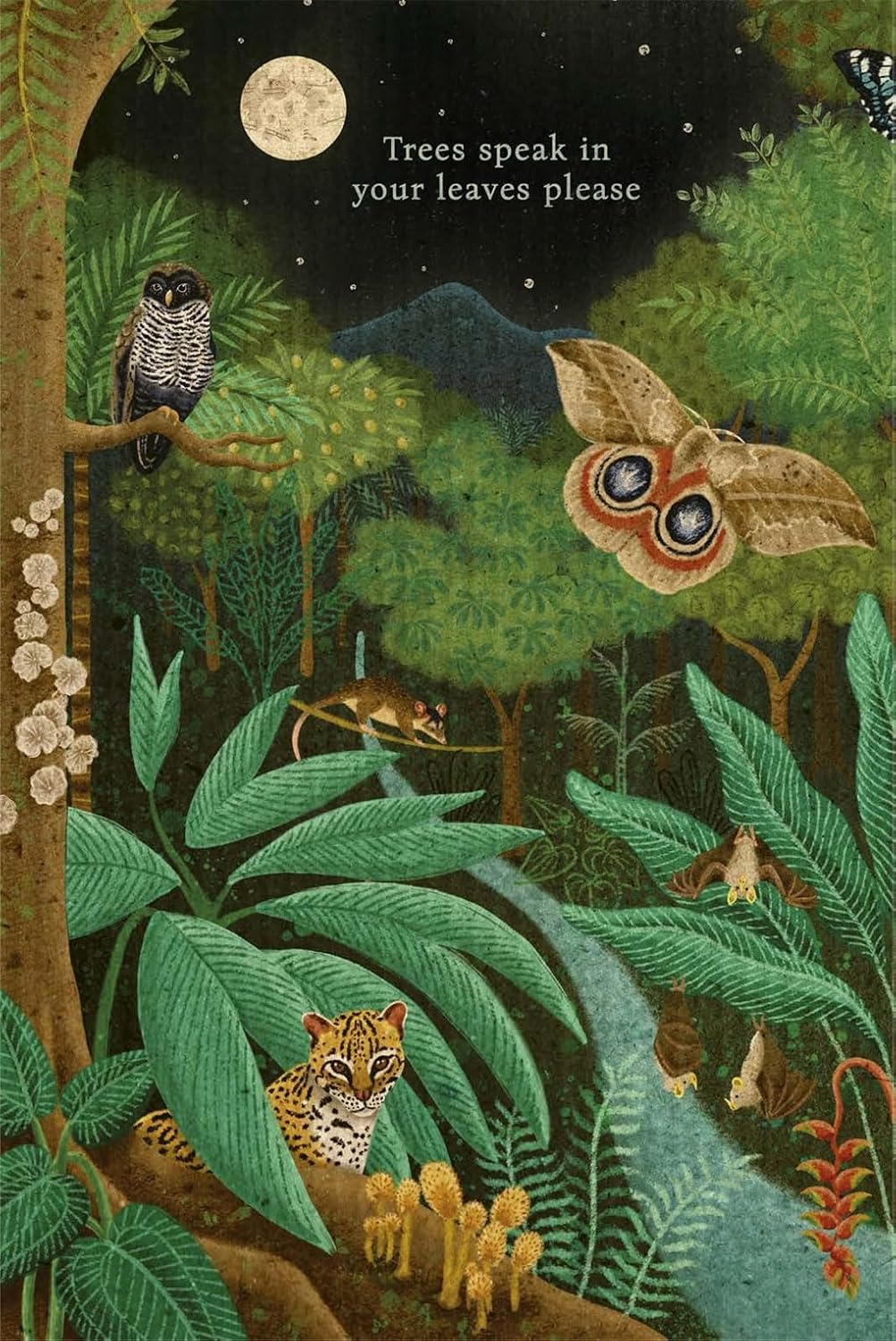Song Of The Cedars