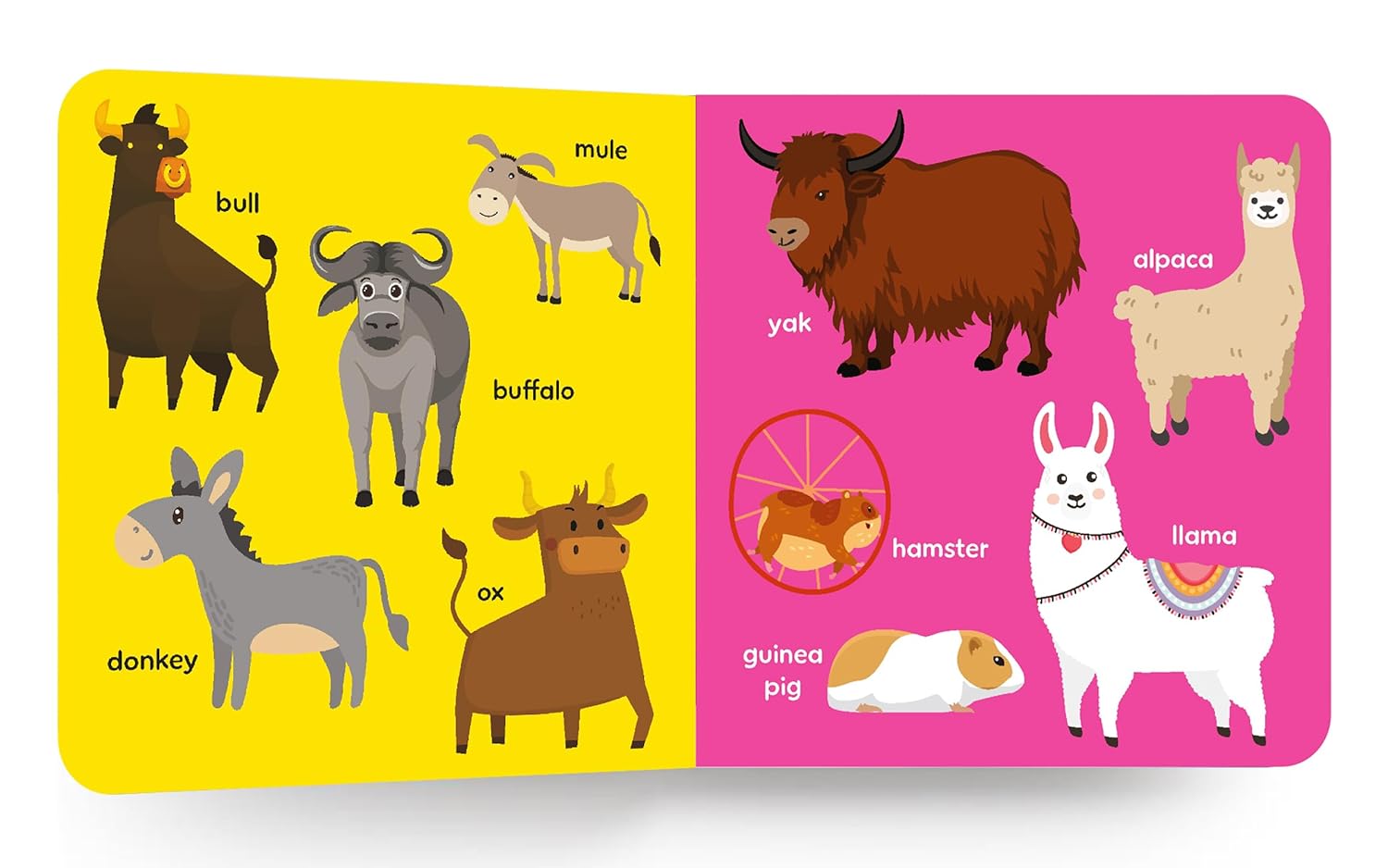 My First Big Book Of Animals