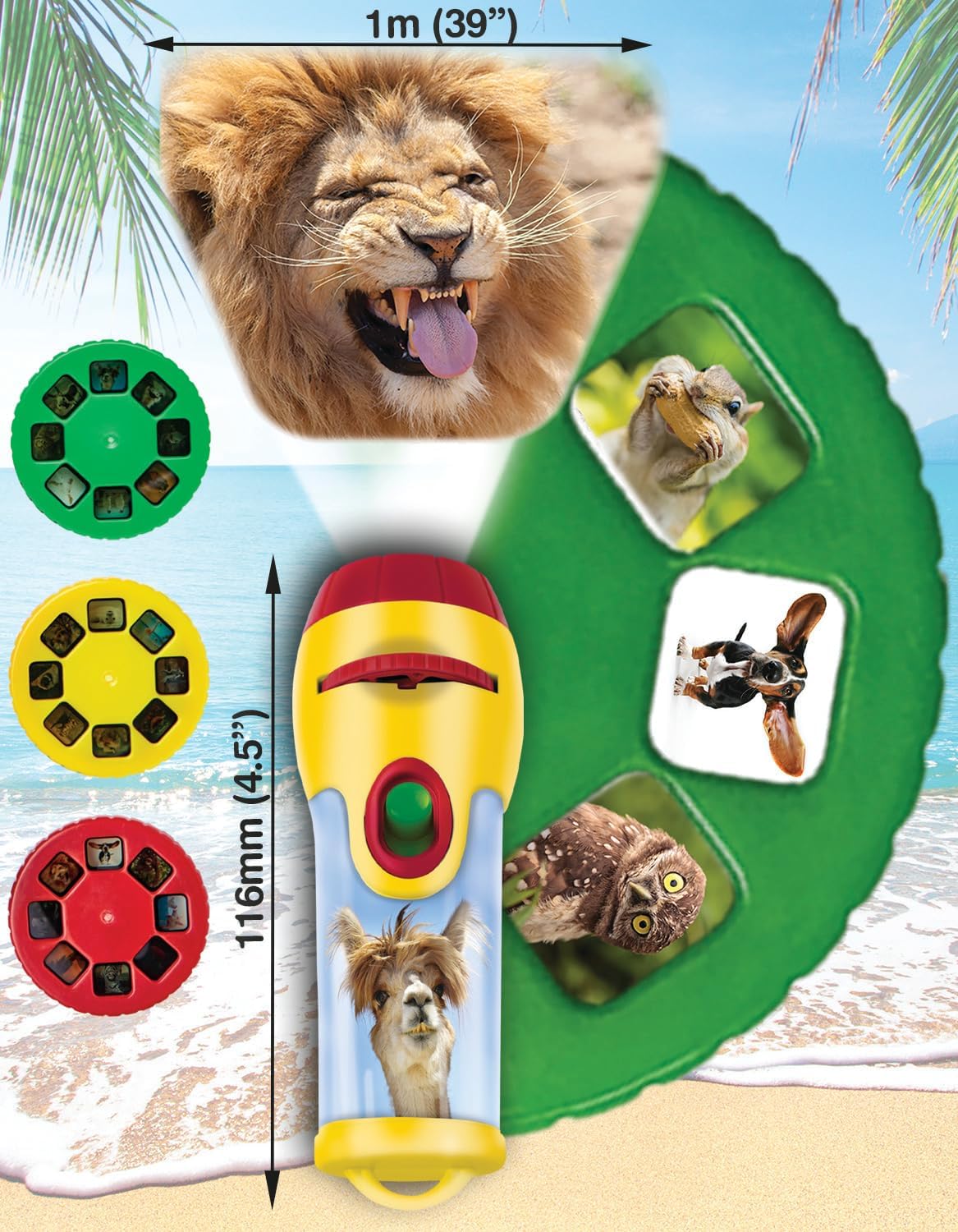 Projector Screen Animals Brainstorm Torch & Projector: Funny Animals – The Toy Folks