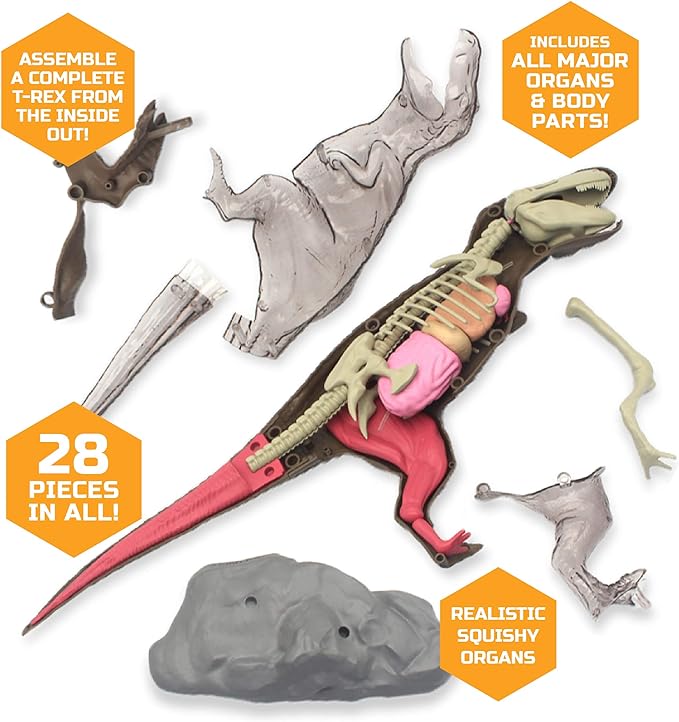 Discovery Mindblown 4D T-Rex Anatomy Kit