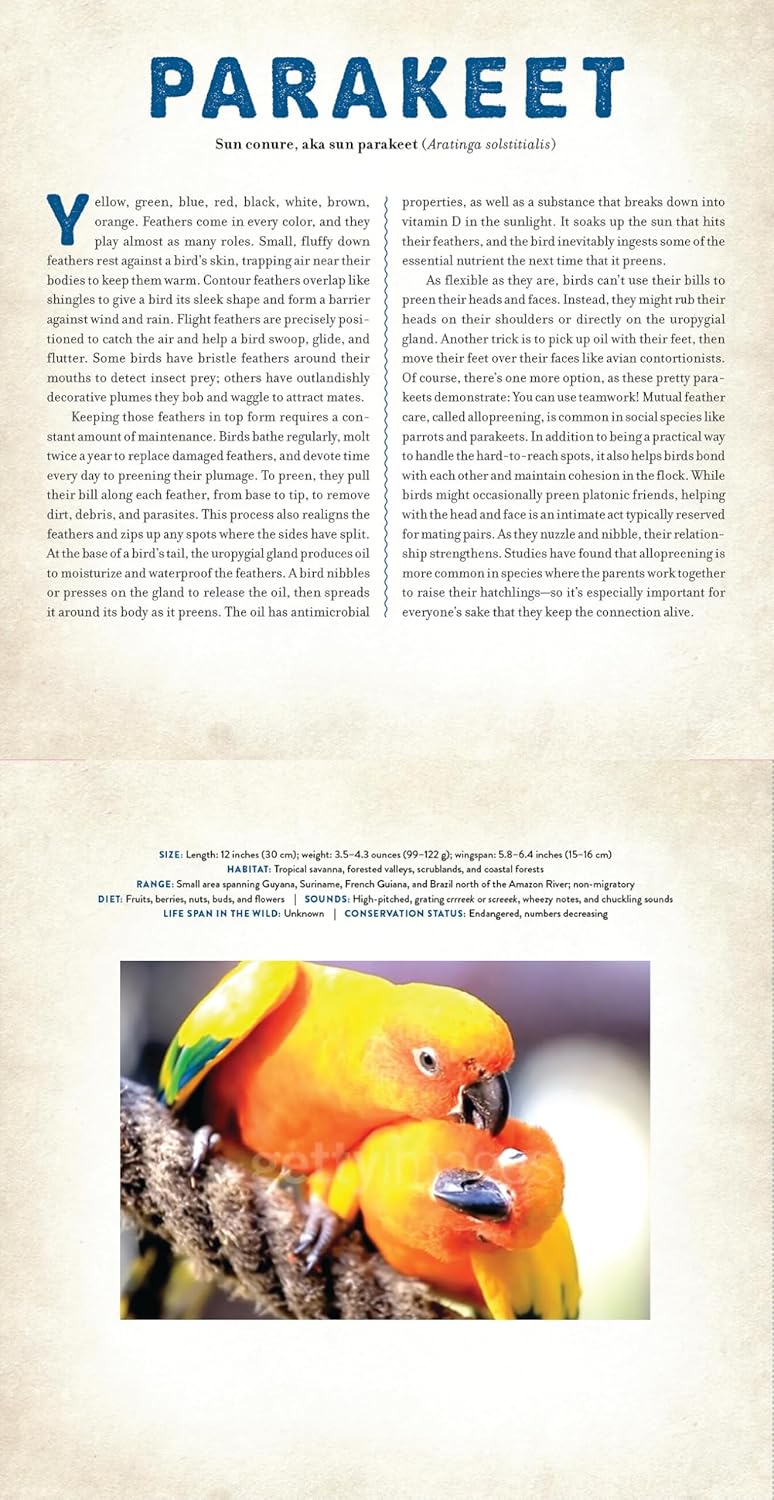 A Photicular Book: Birds