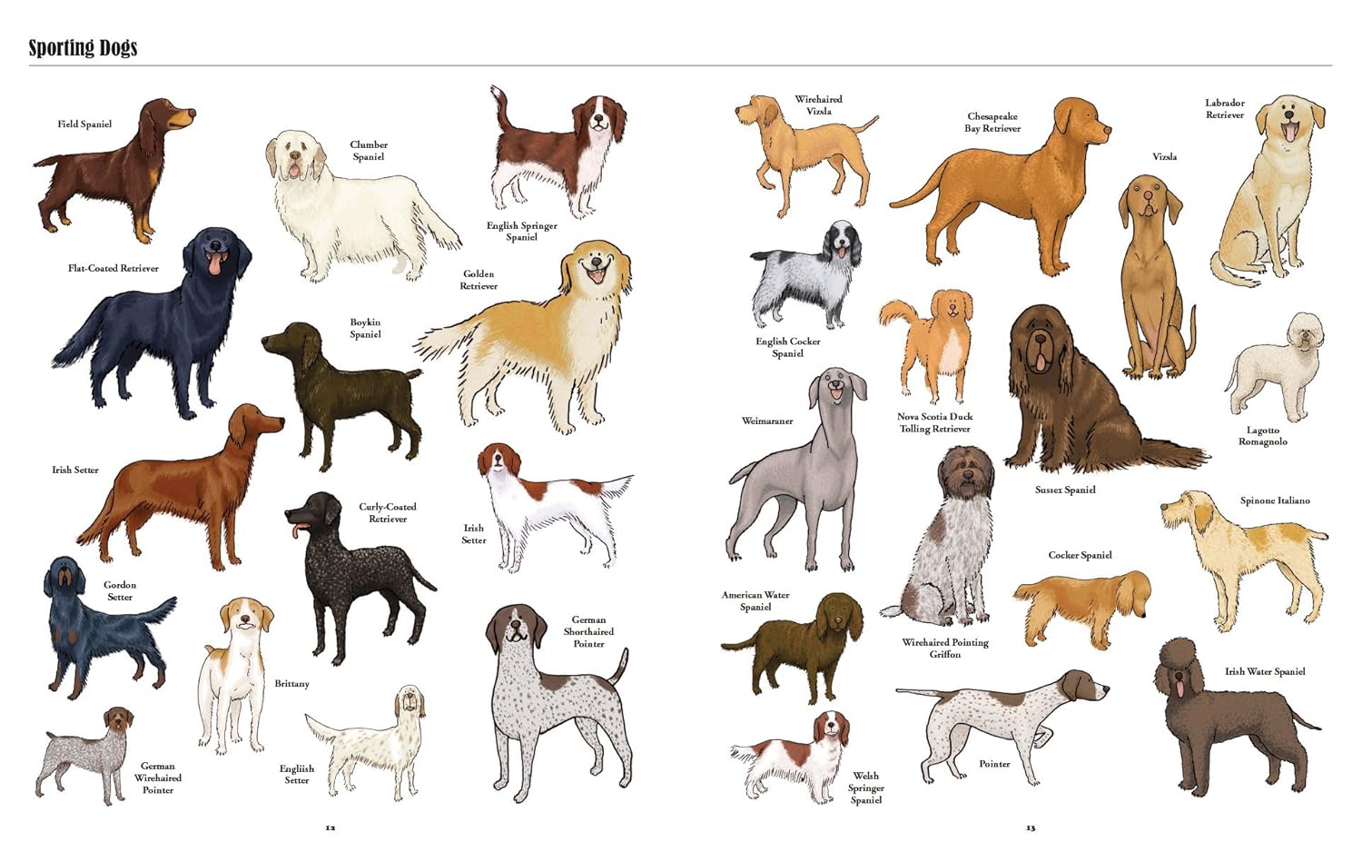 Big Dogs, Little Dogs: A Visual Guide to the World’s Dogs