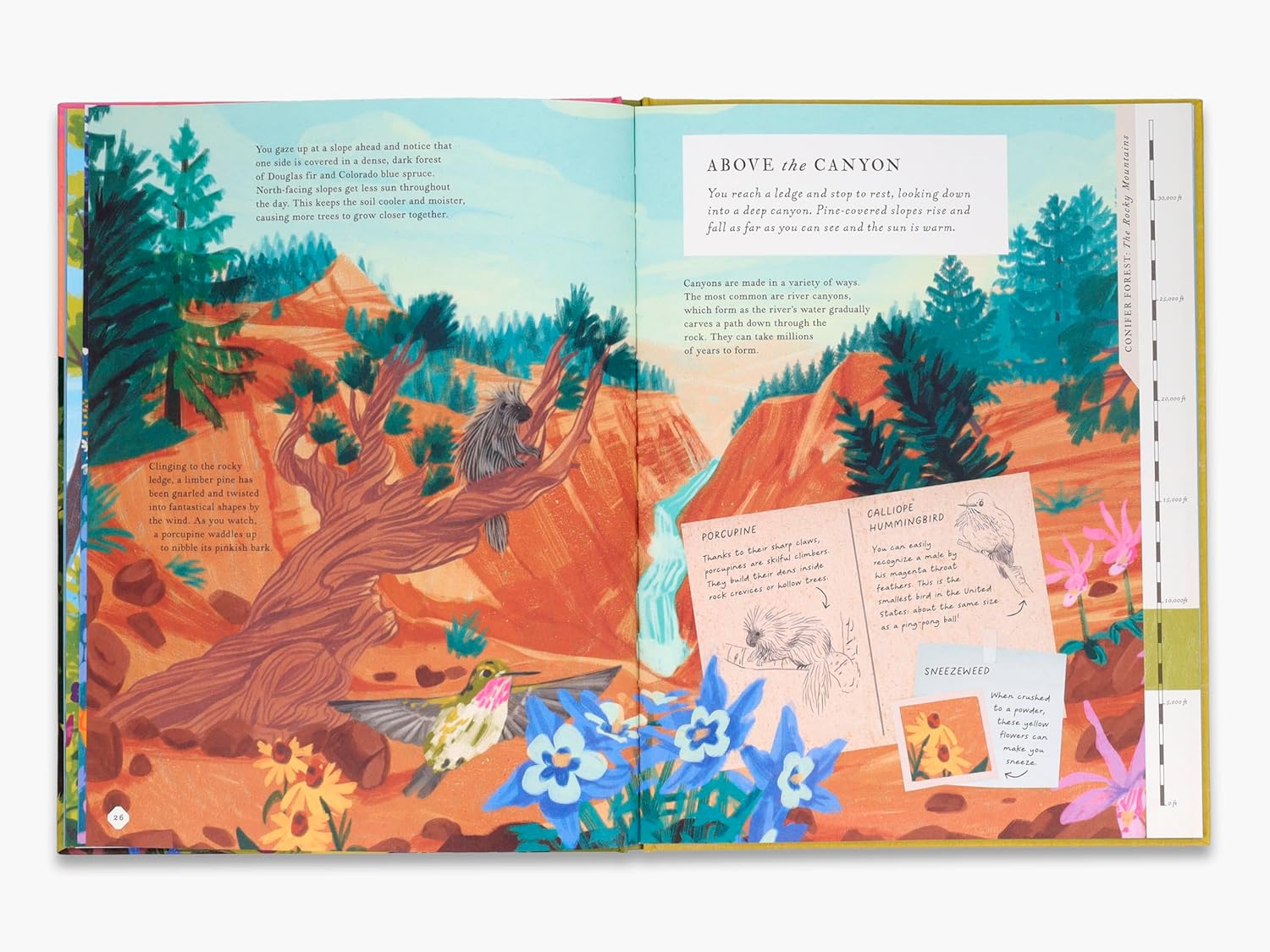 There's A Mountain In This Book