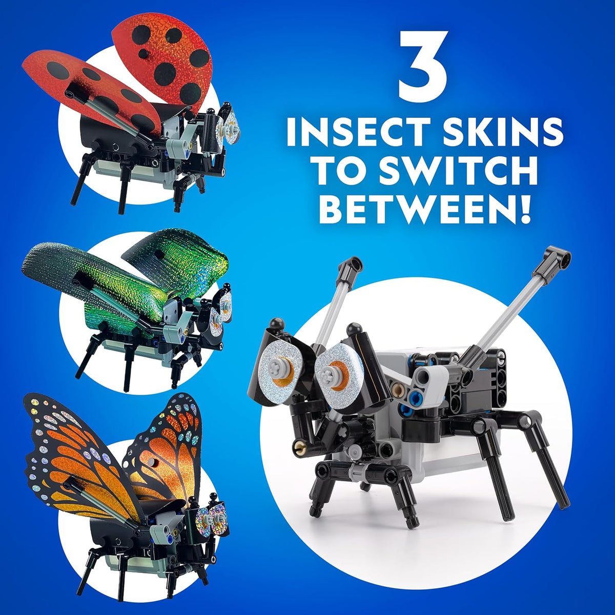 National Geographic Junior Robotics: Bugs