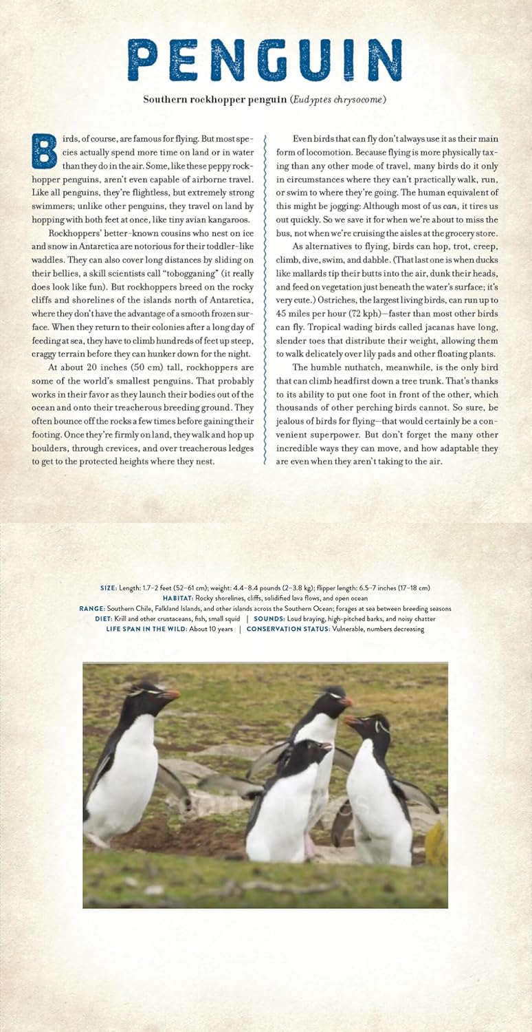 A Photicular Book: Birds