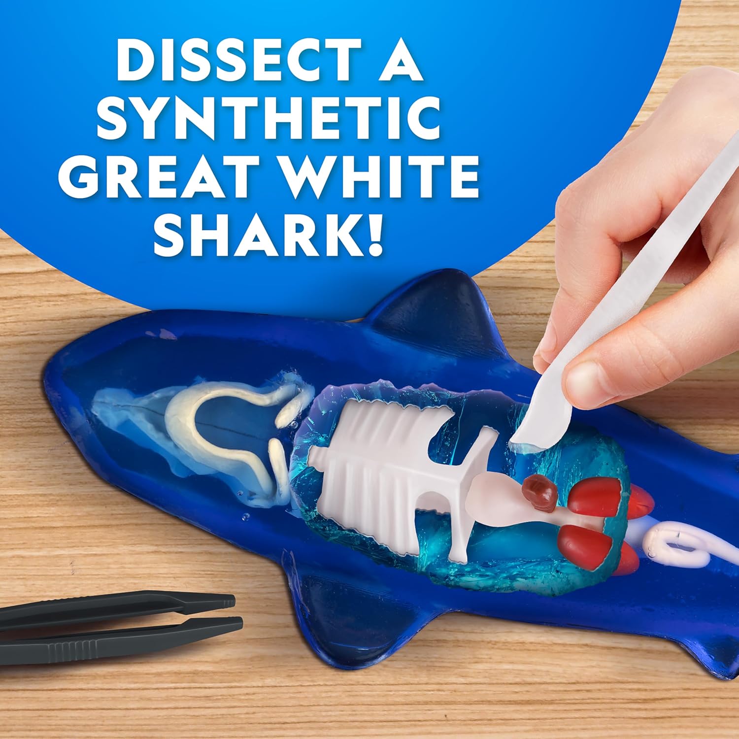 National Geographic Glow-In-The-Dark Great White Shark Dissection Lab