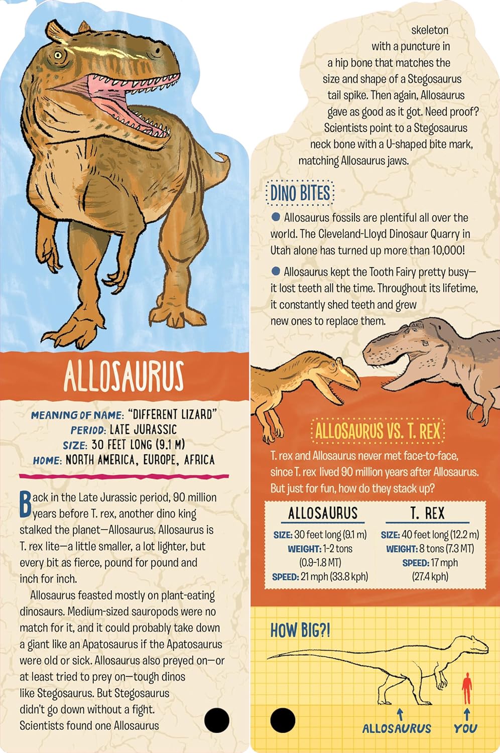 Fandex Kids: Dinosaurs