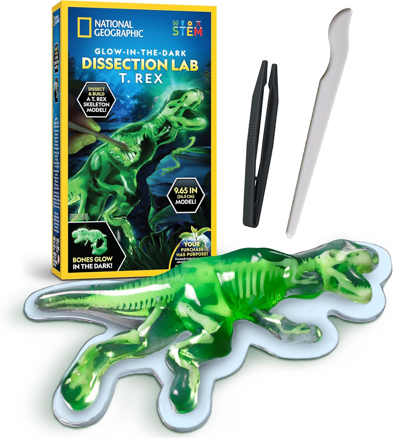 National Geographic Glow-In-The-Dark T-Rex Dissection Kit