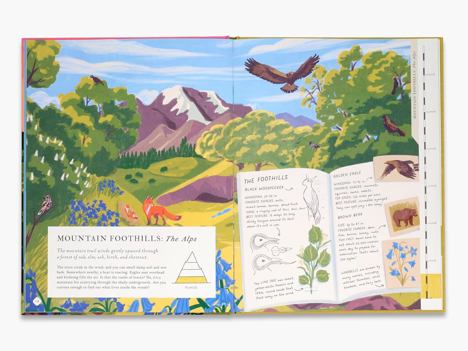 There's A Mountain In This Book