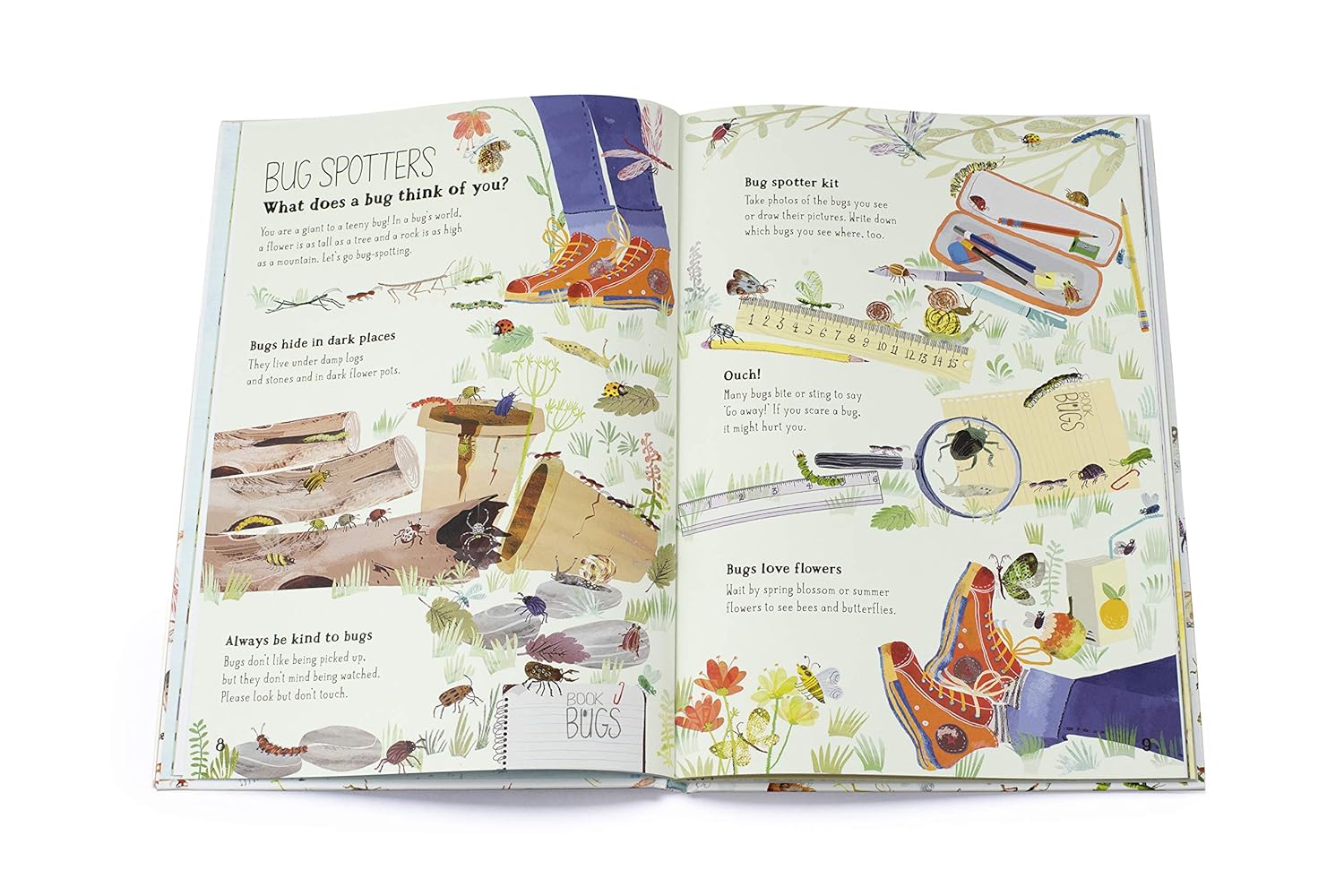 The Big Book Of Bugs