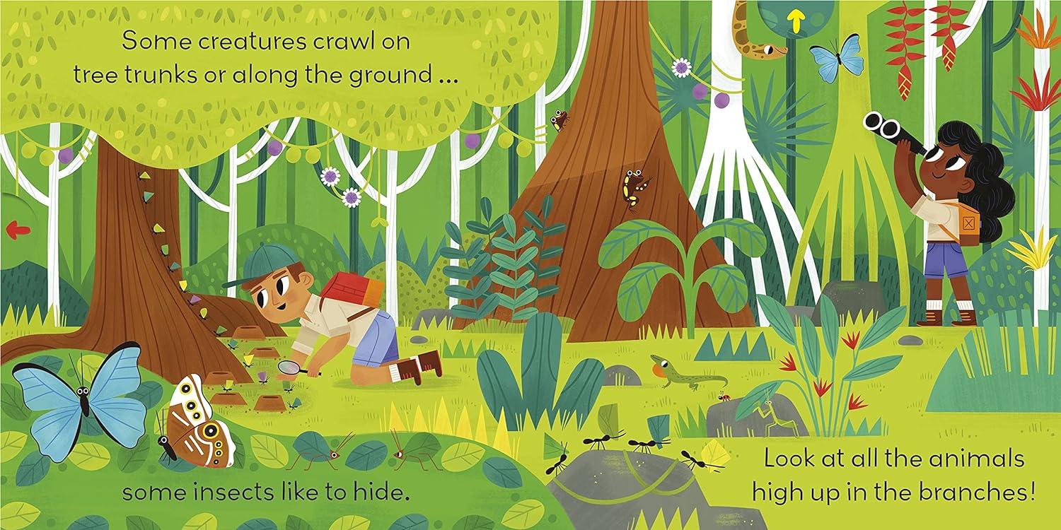 Little World: Jungle Journey (A Push-and-Pull Adventure)