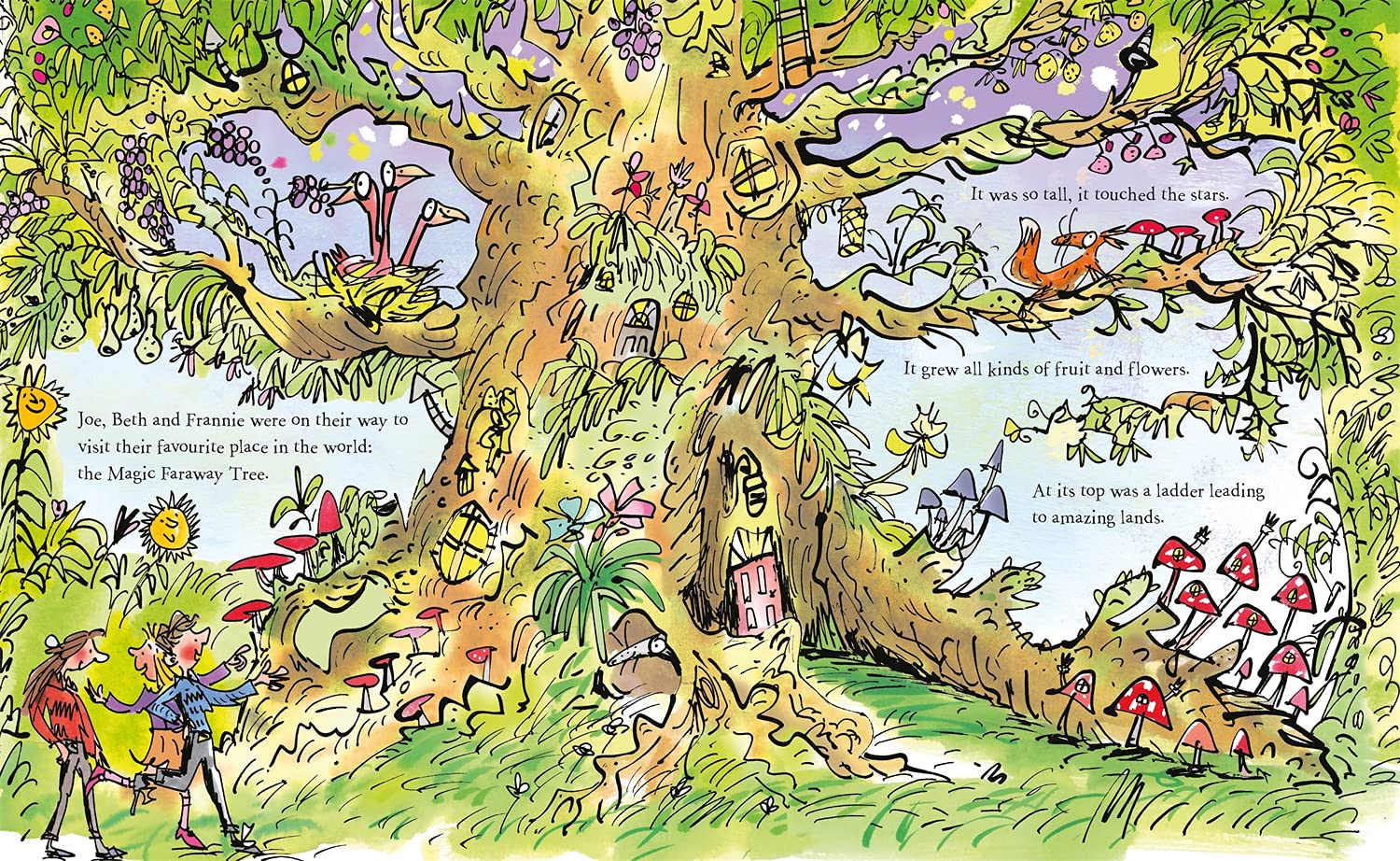 The Magic Faraway Tree: Silky's Story