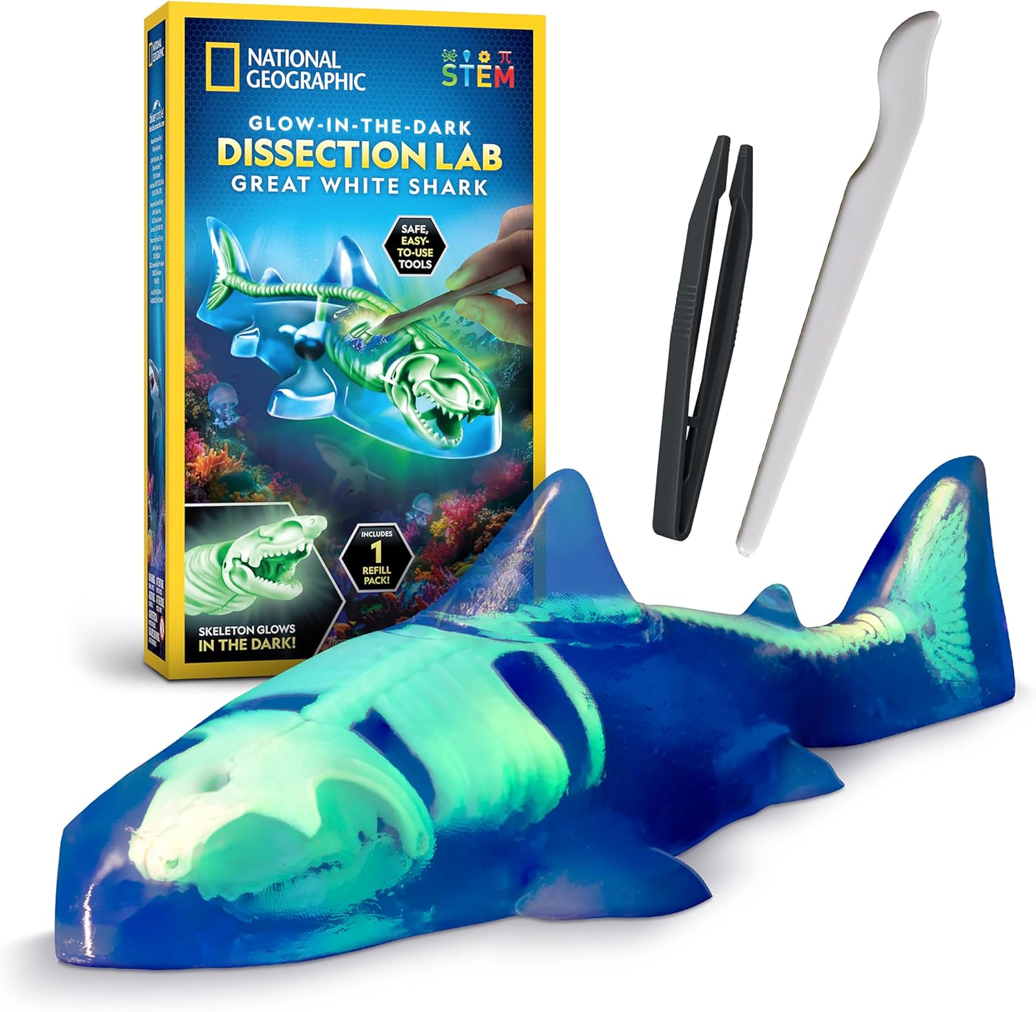 National Geographic Glow-In-The-Dark Great White Shark Dissection Lab