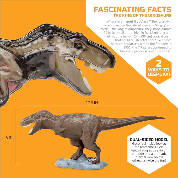 Discovery Mindblown 4D T-Rex Anatomy Kit