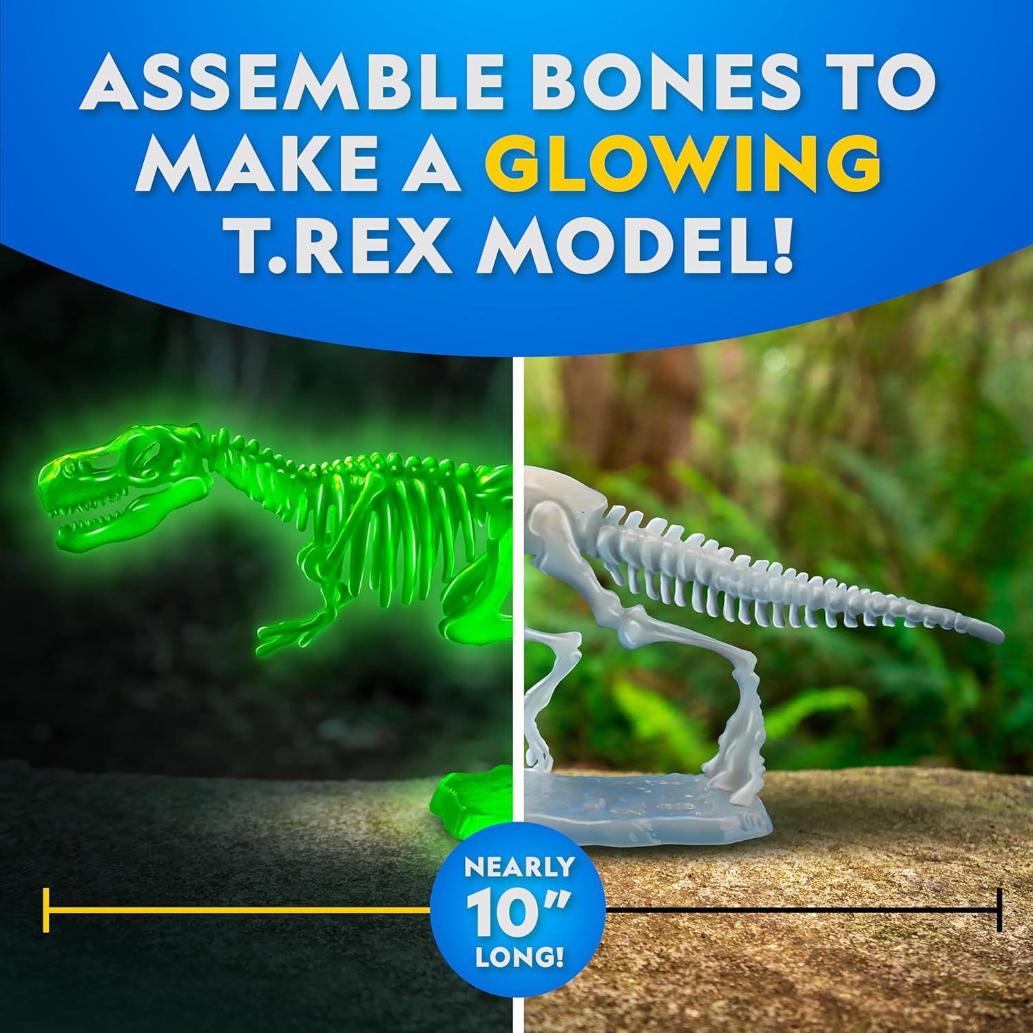 National Geographic Glow-In-The-Dark T-Rex Dissection Kit
