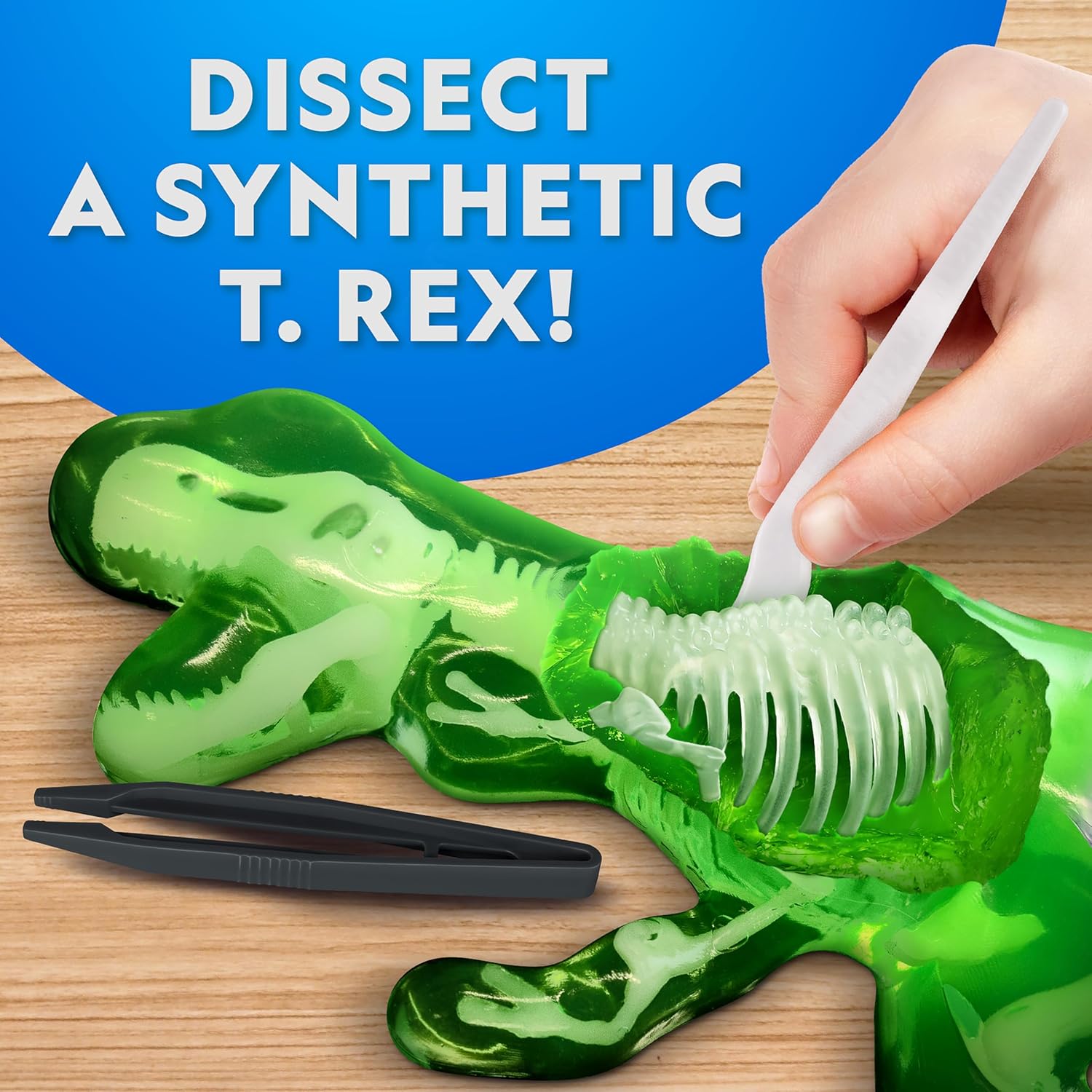 National Geographic Glow-In-The-Dark T-Rex Dissection Kit