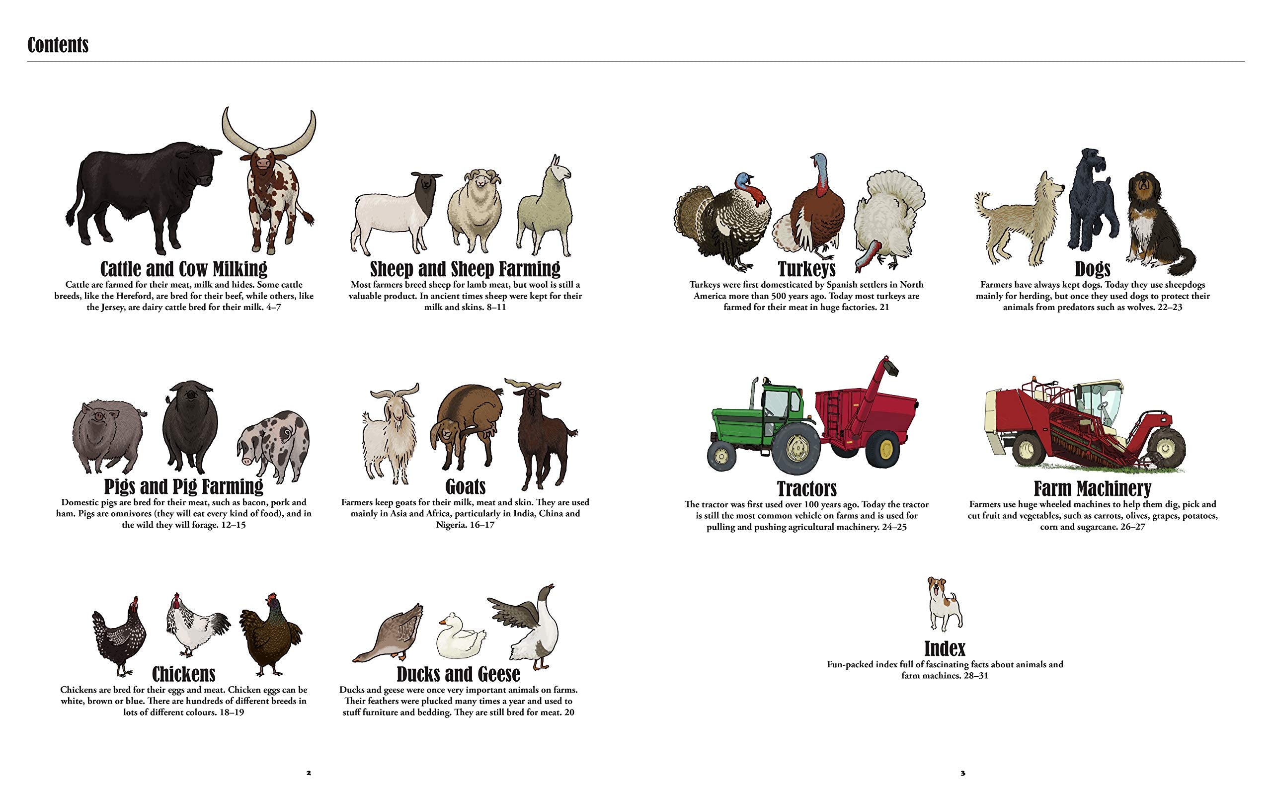Big Farms, Little Farms: A Visual Guide to Farms and Farm Animals