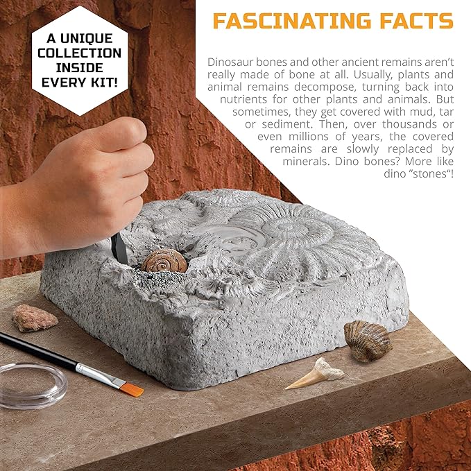 Discovery Mindblown Colossal Fossil Dig