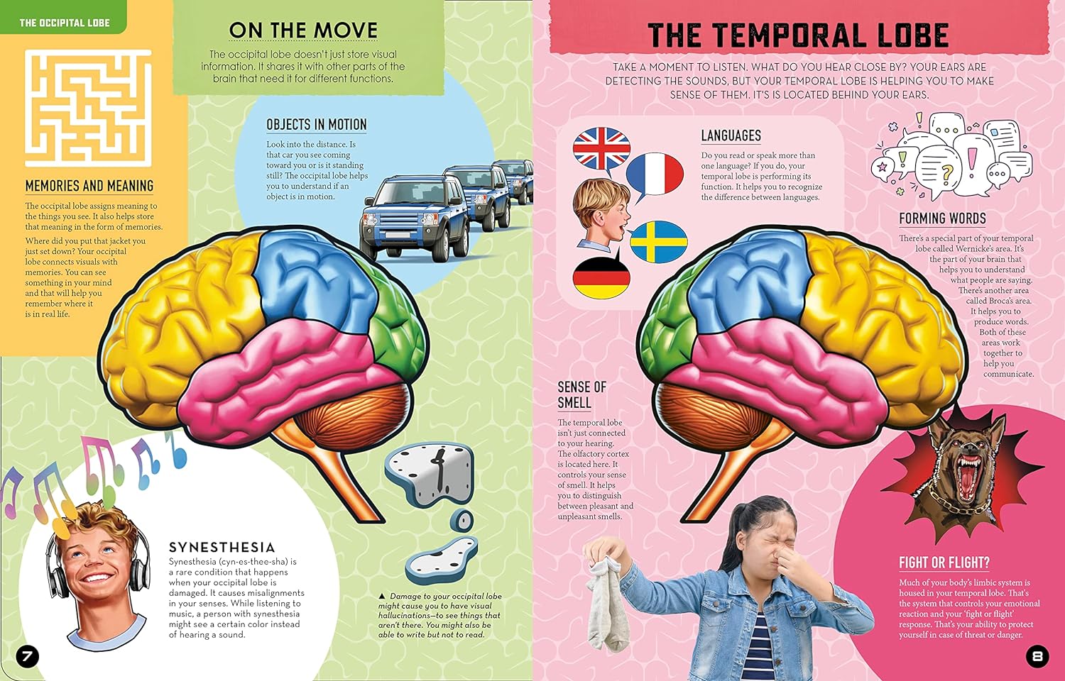 Inside Out: Human Brain