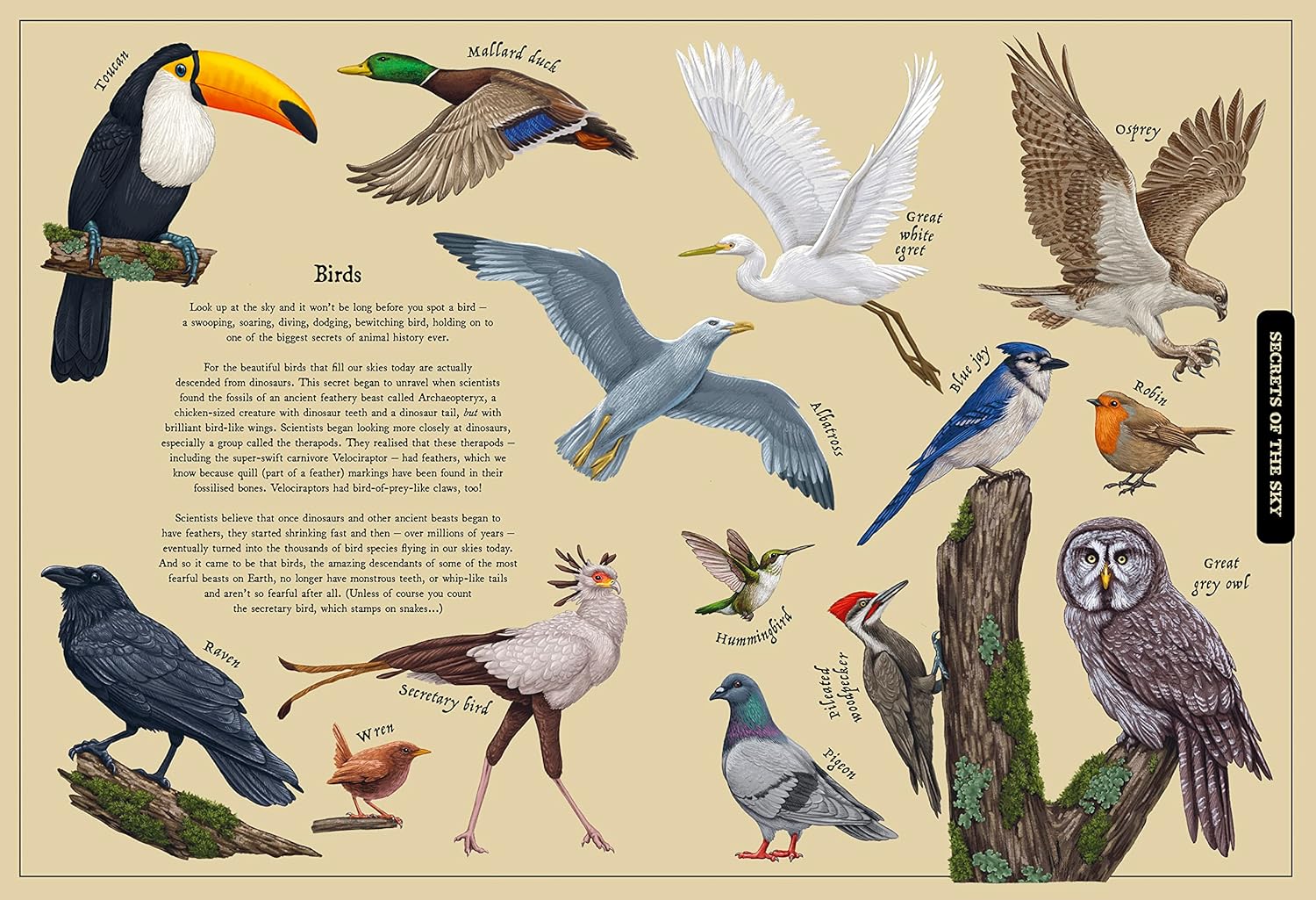 Secret Stories Of Nature