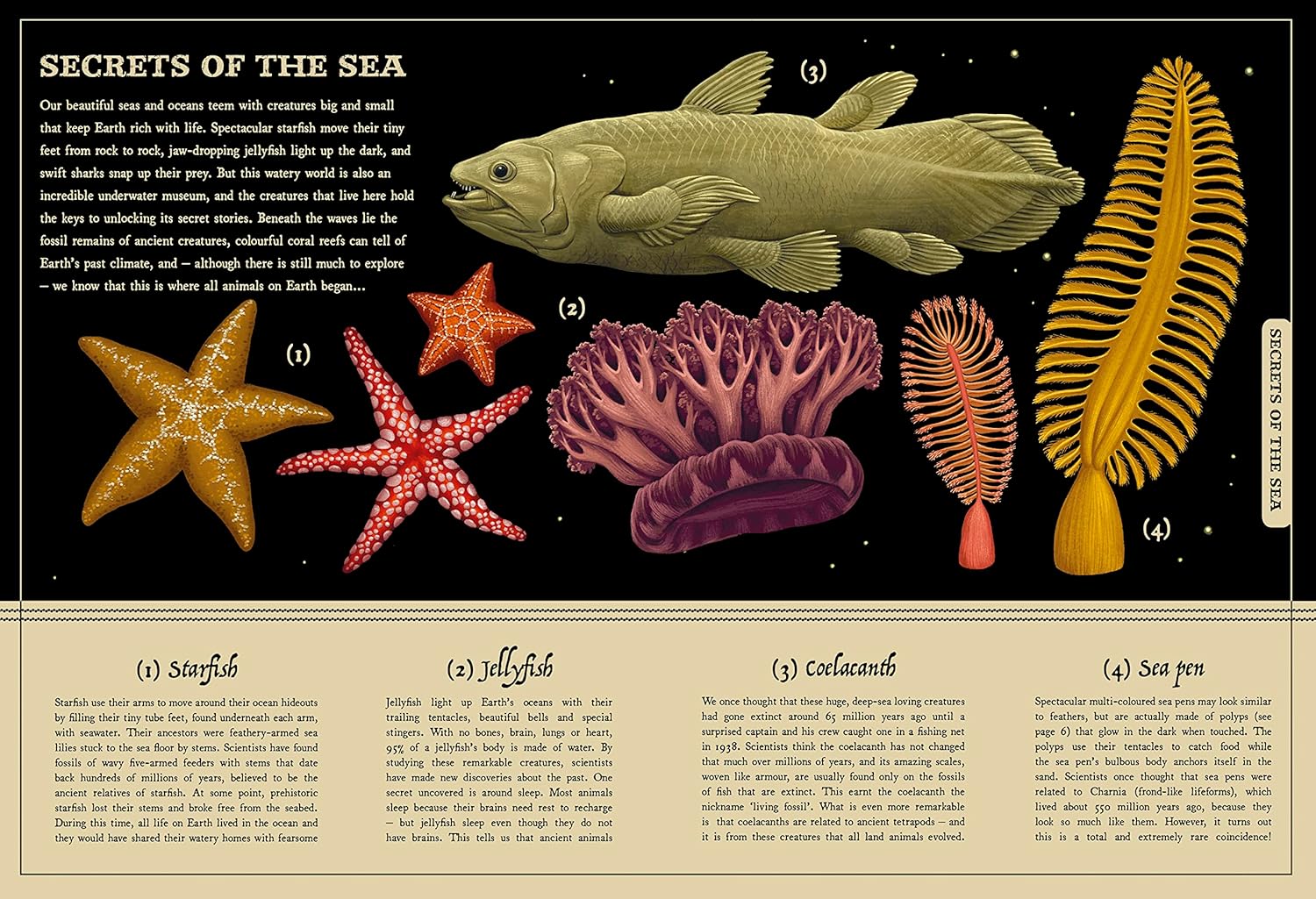 Secret Stories Of Nature