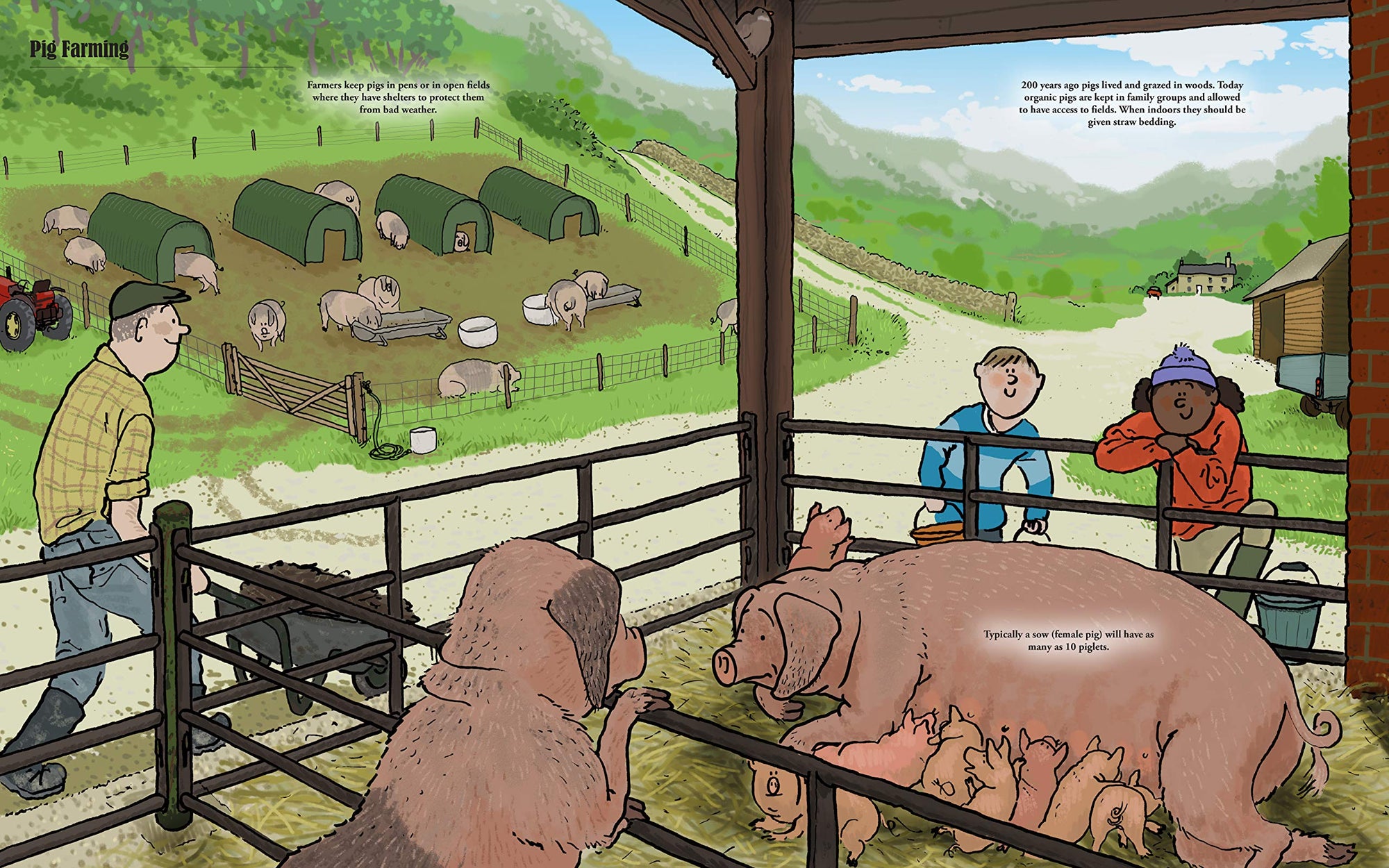 Big Farms, Little Farms: A Visual Guide to Farms and Farm Animals