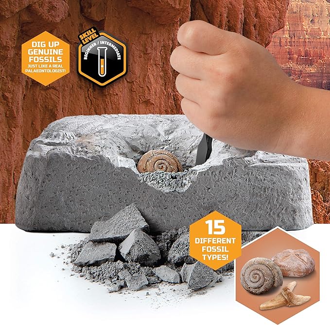 Discovery Mindblown Colossal Fossil Dig